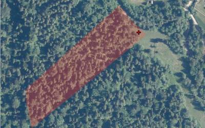 Zrzut_ekranu_2025-03-17_o_16.16.38_original