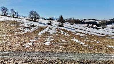 DJI_20260306115331_0704_D_original