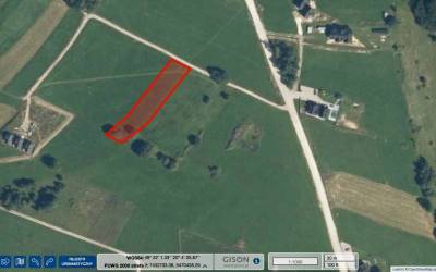 Obraz_23.02.2026_godz._12.31_original